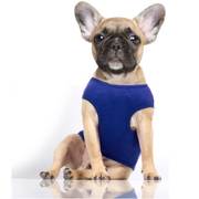 Milk & Pepper T-shirt spécial bouledogue Ancre bleu NOAN pour chien