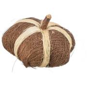 Jouet à ronger noix de coco citrouille pour rongeur