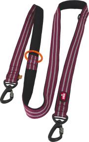 Laisse éducation 3 positions bivouak rouge pour chien