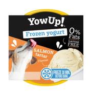YowUp! Yaourt glacé au saumon pour chiens