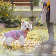 Manteau imperméable pour chien Pontis Rain avec harnais intégré