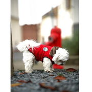 Manteau Finlande à col en fausse fourrure rouge pour chien