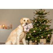 Peluche de Noël ours pour chien