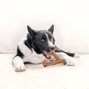 Benebone Jouet à mâcher Wishbone pour chien