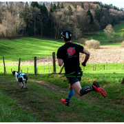 Ceinture baudrier aircross noire pour canicross, skijoring, canirando pour Chien