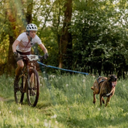 Barre cani-VTT Bikejor Max UL pour chien