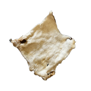 Plaques de peau de bœuf avec poils pour chien TerraSnacks Nature