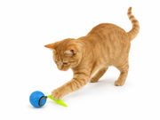 Balle interactive rechargeable avec queue pour chat Mon Ami Luki