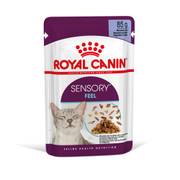 ROYAL CANIN Sensory Feel pâtée en gelée pour chat