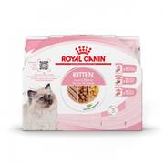ROYAL CANIN Kitten Multipack pâtées sauce gelée mousse