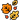Spécial automne