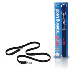 Sellerie : collier, laisse et harnais pour chien