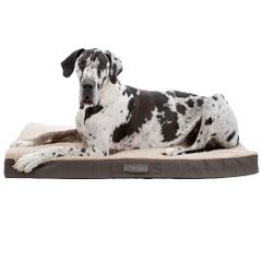 Panier, coussin, couchage pour chien