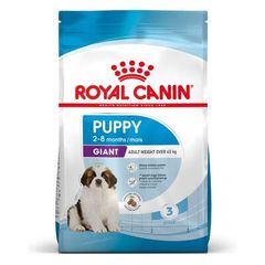 Nourriture pour chien