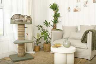 arbre à chat