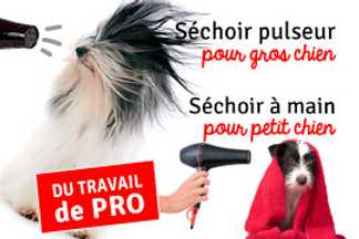 Pulseur chien ou séchoir : lequel choisir ?