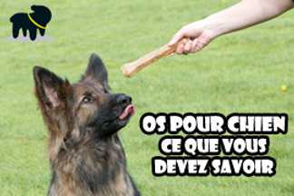 Os pour chien, à moelle, à mâcher !