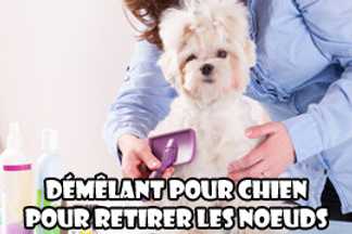 Démêlant pour chien : choisir un produit adapté
