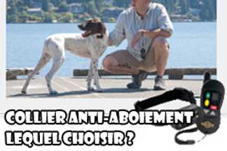 Collier anti-aboiement, lequel choisir ?