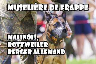 Muselière de frappe Malinois, Rottweiler, Berger Allemand