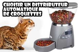 Distributeur automatique croquettes chat, programmable !