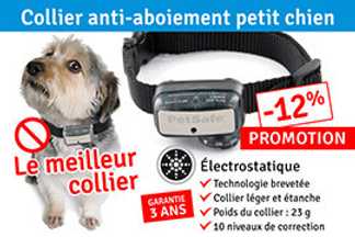 Collier anti aboiement petit chien : pour quel poids ?