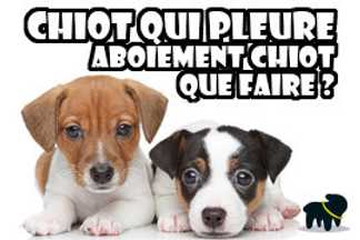 Chiot qui pleure, aboiement chiot : que faire ?