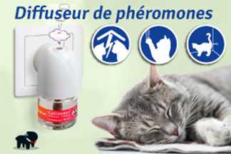 Qu'entend-t-on par phéromone chat ? comment l'utiliser !