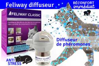 Feliway diffuseur : Comment choisir ! Utilité ! Ou le placer !