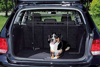 Grille chien voiture, filet : mode d’emploi