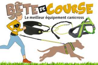 équipement Canicross, kit, matériel canicross !