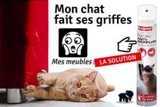 Chat qui griffe le canapé : répulsif chat canapé