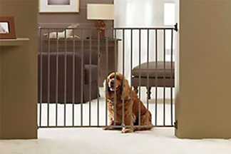 Barrière pour chien : sécurité, intérieur, escalier