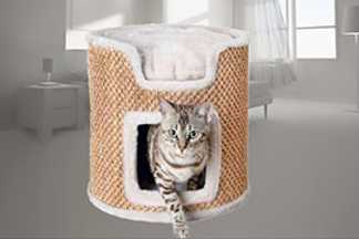 Griffoir chat design : qualité et élégance