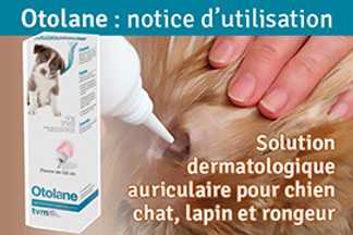 Otolane : notice d'utilisation