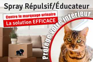 Répulsif chat intérieur maison