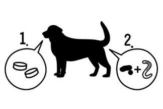 Vermifuge chien naturel, conseil d'utilisation !