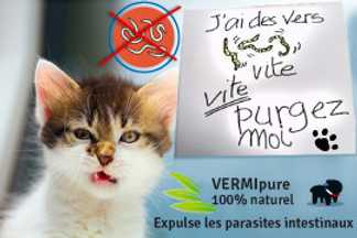 Vers chat, mon chat a des vers, solution naturel efficace !