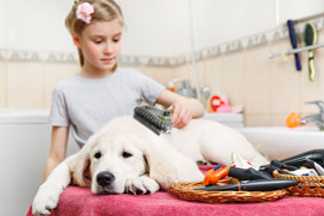 Trimmer Coat King démêle les poils de mon chien ?
