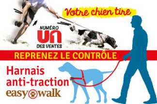 Harnais anti traction : harnais pour chien qui tire