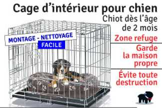 Cage chien intérieur : conseil d'utilisation !