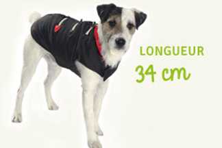 Choisir le bon manteau pour mon chien
