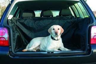 Protection coffre chien : conseils d'achat