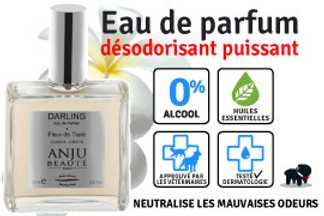 Parfum pour chien : quel produit choisir ?