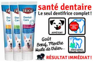 Dentifrice pour chien : pâte, spray ou solution buvable ?