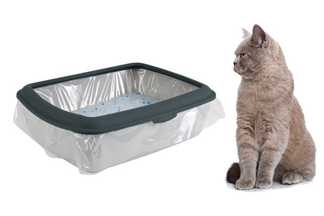 Sac litière chat : propreté et hygiène