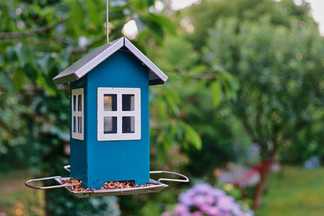 Mangeoire oiseaux : sur pied ou suspendue ?