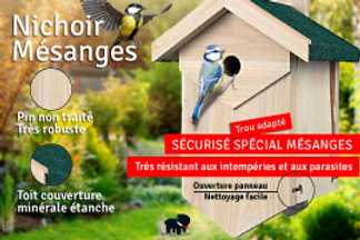 Nichoir mésange : préparation et installation du nid