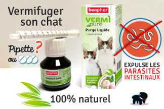 Vermifuge pour chat, pipette ou comprimé ? Nos conseils !