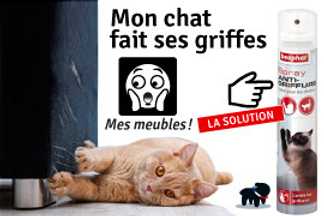 Comment l'empêcher, mon chat fait ses griffes partout !